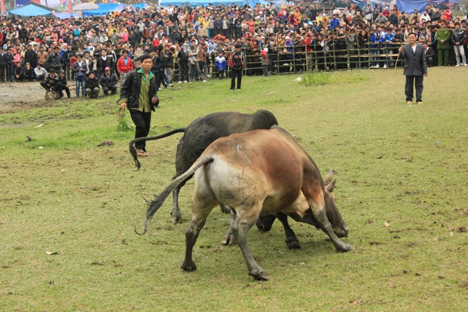 Hàng ngàn người đang theo dõi cuộc thi Hàng ngàn người đang theo dõi cuộc thi