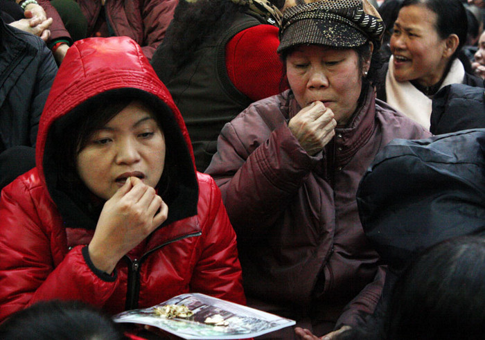 Các cô, các chị thì cắn hướng dương