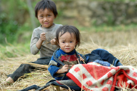 Những em bé theo mẹ đi gặt trên đồng. Những em bé theo mẹ đi gặt trên đồng.