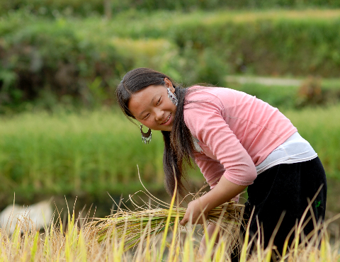 Nụ cười được mùa của người dân vùng cao. Nụ cười được mùa của người dân vùng cao.