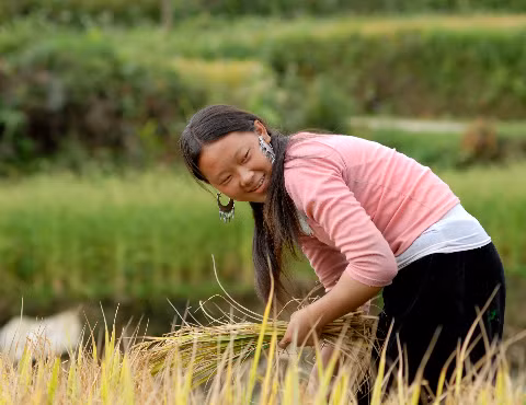 Nụ cười được mùa của người dân vùng cao.