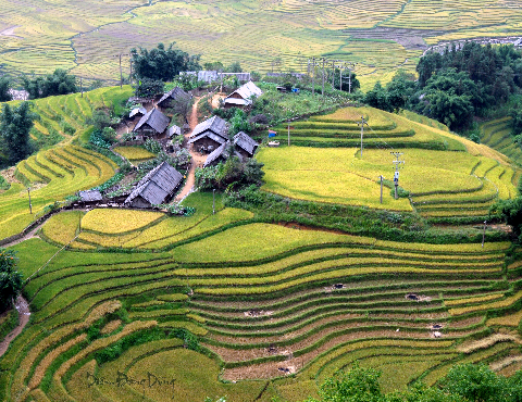 Một đại gia đình người H'Mông. Một đại gia đình người H'Mông.