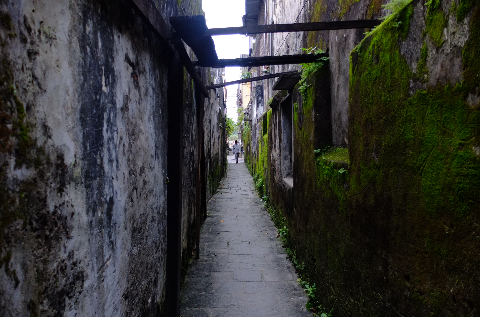 Những con hẻm cũ kỹ với rêu xanh buổi sớm mai vẫn còn ướt đẫm. Những con hẻm cũ kỹ với rêu xanh buổi sớm mai vẫn còn ướt đẫm.