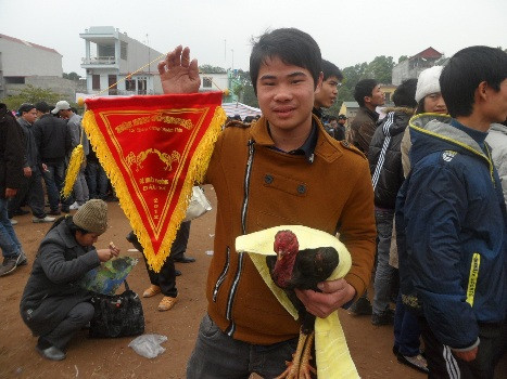 Đăng ký và nhận phần thưởng cho mỗi chú gà chiến thắng. Phần thưởng dành cho chủ nhân và những "chiến kê" thắng trận là một chiếc khăn dùng để chăm sóc gà và một lá cờ lưu niệm.