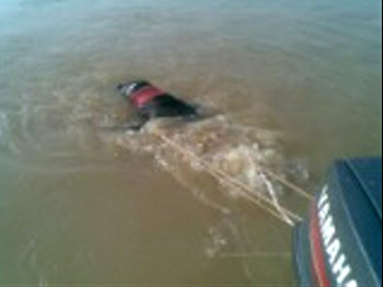 Xác người đàn ông đầu tiên được tìm thấy và được đưa vào bờ Xác người đàn ông đầu tiên được tìm thấy và được đưa vào bờ