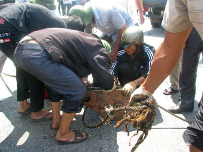 Các lực lượng cứu hộ đang sửa cáp Các lực lượng cứu hộ đang sửa cáp