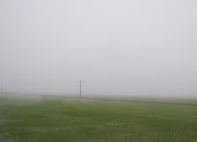 Chưa tối những cánh đồng đã phủ kín những dãi sương trắng dày đặc