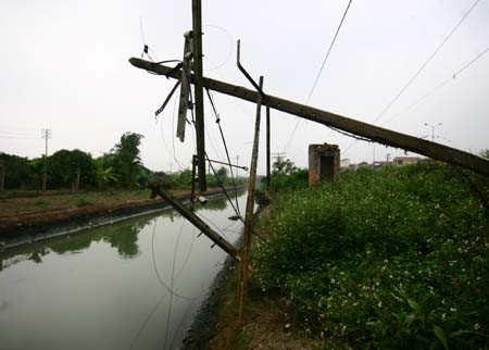 Trước khi lao xuống mương nước, chiếc container đã đốn đổ hơn 10 cột bê tông và cột điện. Trước khi lao xuống mương nước, chiếc container đã đốn đổ hơn 10 cột bê tông và cột điện.