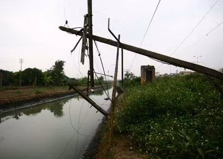 Trước khi lao xuống mương nước, chiếc container đã đốn đổ hơn 10 cột bê tông và cột điện. Trước khi lao xuống mương nước, chiếc container đã đốn đổ hơn 10 cột bê tông và cột điện.