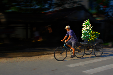 Chở mùa xuân về. (Ảnh chụp tại quận Ô Môn - TP Cần Thơ) Chở mùa xuân về. (Ảnh chụp tại quận Ô Môn - TP Cần Thơ)