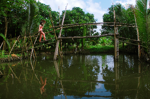 Dáng quê (Ảnh chụp tại TP Cần Thơ) Dáng quê (Ảnh chụp tại TP Cần Thơ)