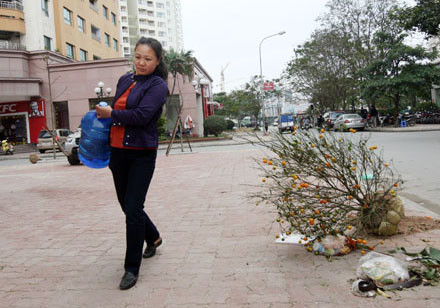 Hà Nội trông thế mà mong manh dễ vỡ, mới vỡ đường ống nước vài hôm mà mấy quận nội thành đã náo loạn vì khát. Mà không đâu, cái đường ống mới, chẳng động đất, thiên tai gì lại vỡ toang hoác, khiến nhà nhà náo loạn...(Không khí tết chưa kịp phai, người dân khu đô thị mới Trung Hòa - Nhân Chính) Hà Nội trông thế mà mong manh dễ vỡ, mới vỡ đường ống nước vài hôm mà mấy quận nội thành đã náo loạn vì khát. Mà không đâu, cái đường ống mới, chẳng động đất, thiên tai gì lại vỡ toang hoác, khiến nhà nhà náo loạn...(Không khí tết chưa kịp phai, người dân khu đô thị mới Trung Hòa - Nhân Chính)