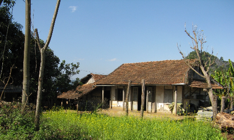 Vạt hoa cải vàng rực dưới nắng trước hiên nhà. Vạt hoa cải vàng rực dưới nắng trước hiên nhà.