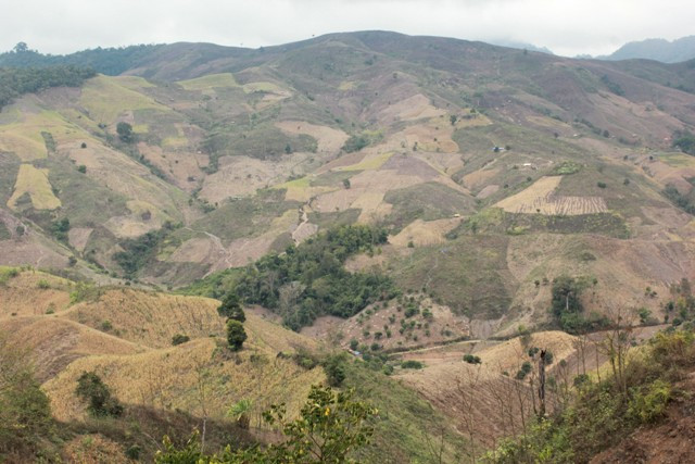 Từ trên đỉnh đèo nhìn xuống đồi núi Mộc Châu.