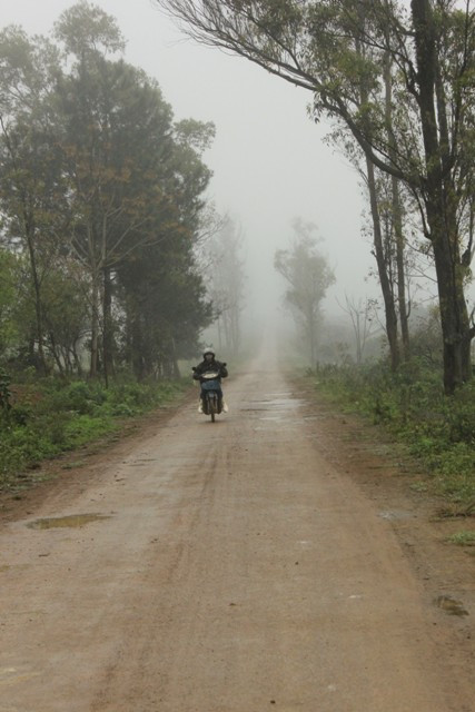 Mùa xuân, Mộc Châu luôn chìm trong làn sương mù mờ mờ, ảo ảo.