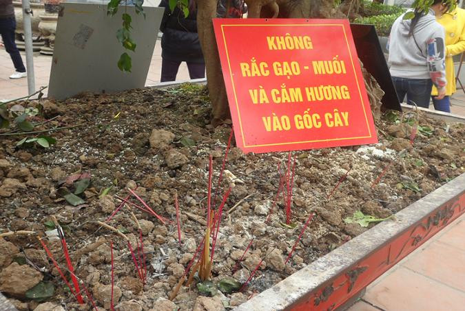 Cắm hương hoa, rắc gạo muối khắp nơi bất chấp biển báo. Cắm hương hoa, rắc gạo muối khắp nơi bất chấp biển báo.