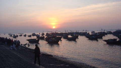 Tàu cá cập bến