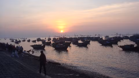 Tàu cá cập bến