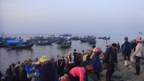 Giao dịch bến cá