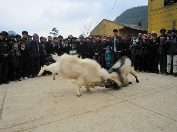Trận chung kết diễn ra kịch tính, hấp dẫn