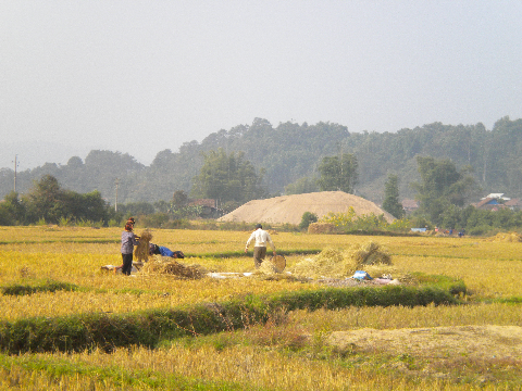 Mùa xuân trên cánh đồng Mường Thanh. Mùa xuân trên cánh đồng Mường Thanh.