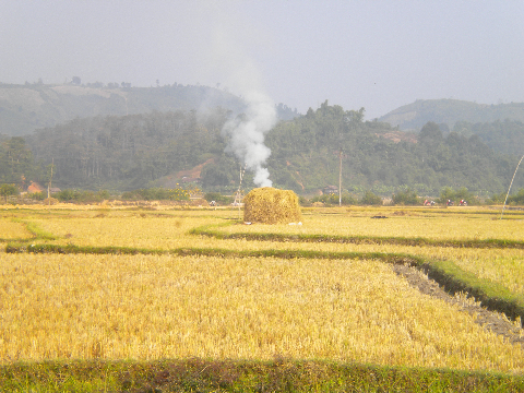Mùa xuân trên cánh đồng Mường Thanh. Mùa xuân trên cánh đồng Mường Thanh.