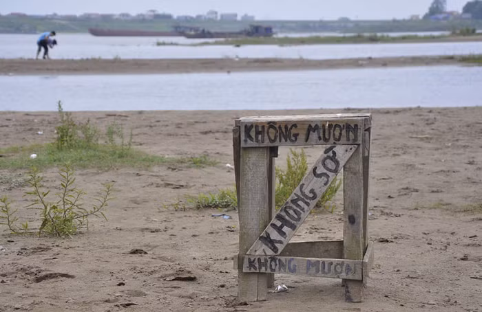 Chiếc ghế của ông chủ cho thuê ngựa.