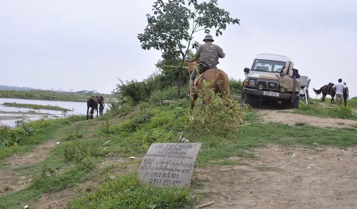 Tấm biển báo cho thuê ngựa cũng được thiết kế thủ công nhưng có nội dung rất đầy đủ và rõ ràng.