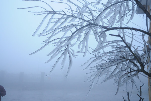 Nước băng như một bức tranh