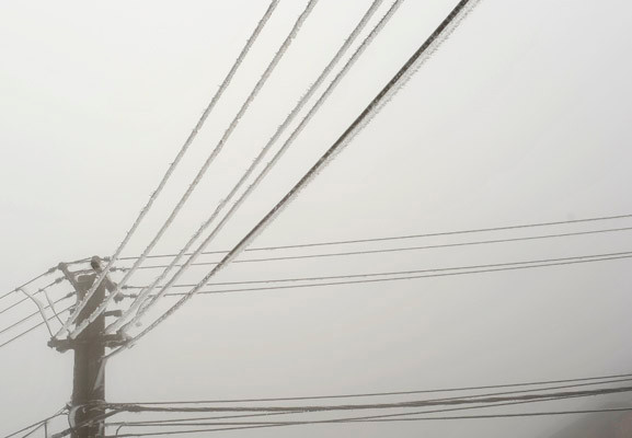 Trên dây điện cao thế