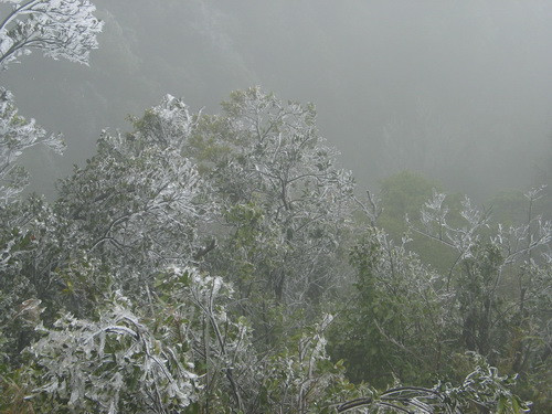 Rừng núi Mẫu Sơn chìm trong băng tuyết. Sáng 25-1, nhiều người dân đã lên đỉnh núi Mẫu Sơn ngắm băng tuyết. Ông Đặng Tăng Phúc (74 tuổi, thôn Khuổi Tẳng, Mẫu Sơn) nói: "Chưa bao giờ bà con người Dao mình đón cái tết trong băng tuyết như thế này. Hiếm lắm".