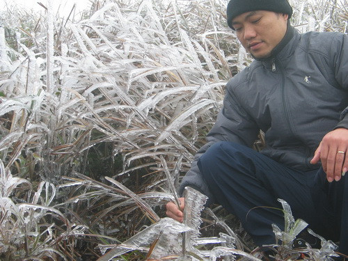 Du khách ngắm băng tuyết. Dù thời tiết khắc nghiệt rét đậm, rét hại kéo dài, nhiệt độ tại các địa phương, nhất là vùng núi cao, biên giới luôn ở mức thấp, nhưng bà con các dân tộc khắp nơi trong tỉnh vẫn tổ chức nhiều hoạt động vui xuân đón tết.