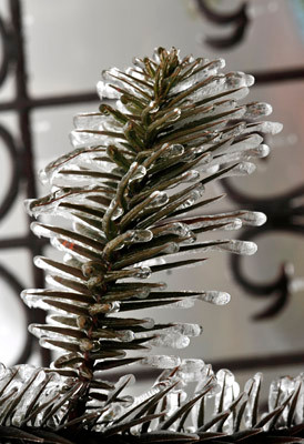 Nước băng ôm trọng ngọn cỏ