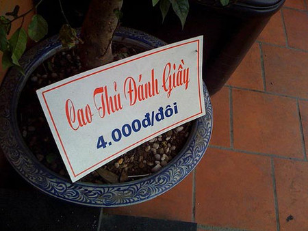 Đánh giầy cũng có đẳng cấp rõ ràng.