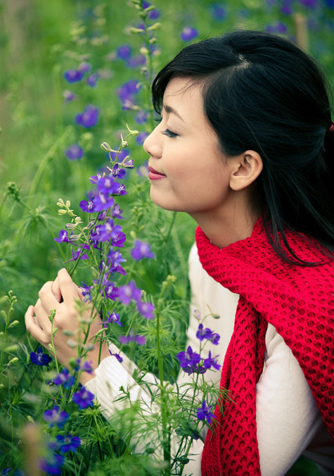 Hồng Anh tô điểm cho mùa xuân thêm sắc thắm Hồng Anh tô điểm cho mùa xuân thêm sắc thắm