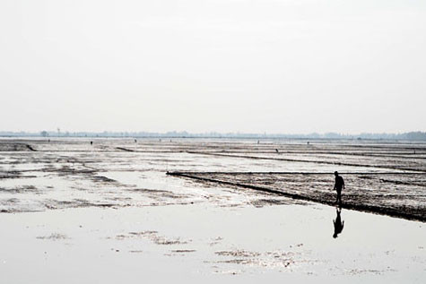 Đất đai bị nước biển xâm lấn nặng nề. Ảnh minh họa (Internet).