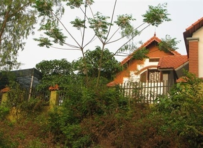 Biệt thự "hoành tráng" của Tú "trố" nhìn từ một góc khác. Biệt thự "hoành tráng" của Tú "trố" nhìn từ một góc khác.