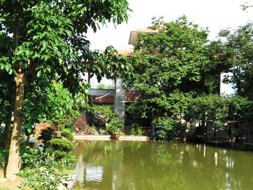 Cả trang trại ngút ngát cây xanh do bàn tay có nghề về cây xanh và phong thủy kiến tạo Cả trang trại ngút ngát cây xanh do bàn tay có nghề về cây xanh và phong thủy kiến tạo