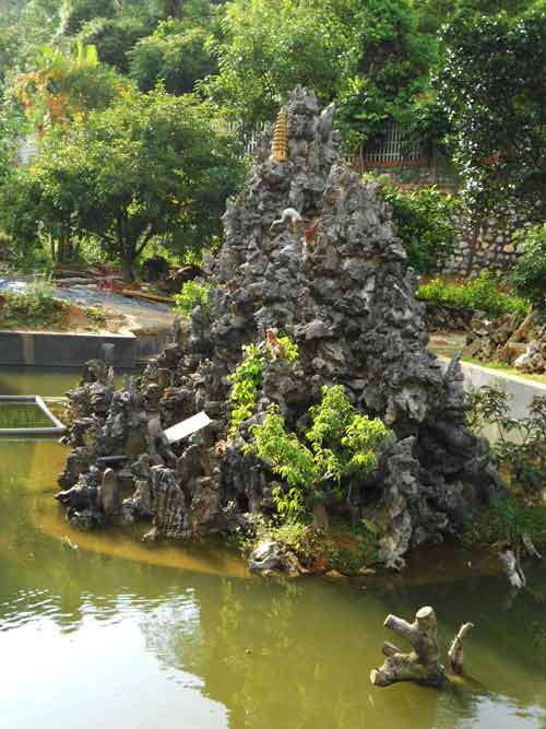 Cả trang trại ngút ngát cây xanh do bàn tay có nghề về cây xanh và phong thủy kiến tạo Cả trang trại ngút ngát cây xanh do bàn tay có nghề về cây xanh và phong thủy kiến tạo