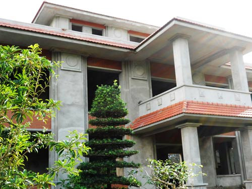 Trong đó phải kể đến loài thông tre, một trong những loài khó trồng và khó “chiều” hơn cả thú “vua lan, quan trà” Trong đó phải kể đến loài thông tre, một trong những loài khó trồng và khó “chiều” hơn cả thú “vua lan, quan trà”