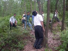 Ảnh: minh họa, nguồn internet Ảnh: minh họa, nguồn internet