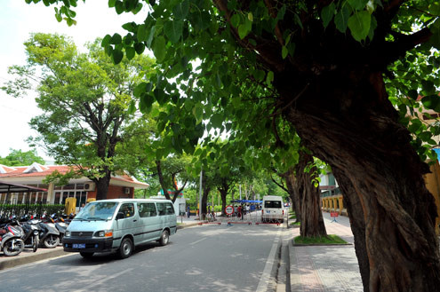 Do có đơn vị quân đội đóng tại đây nên vẫn có ôtô ra vào ở đoạn đầu của phố đi bộ.