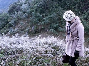 Ảnh minh họa Ảnh minh họa