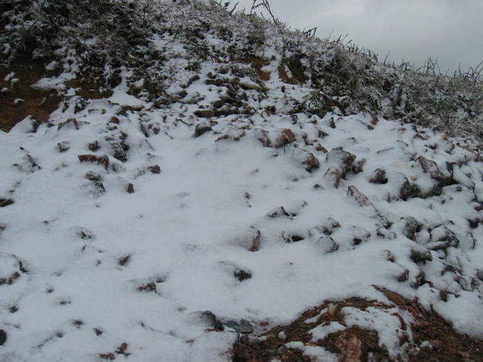 Tuyết rơi dày trắng như cánh đồng muối Tuyết rơi dày trắng như cánh đồng muối