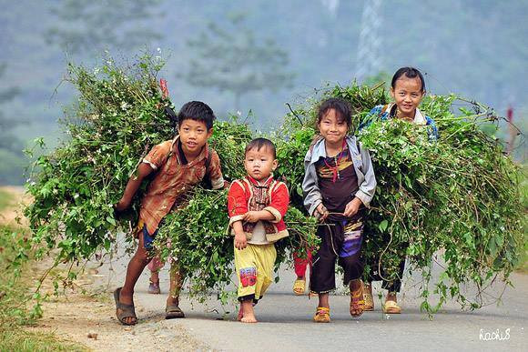 Ảnh minh họa Ảnh minh họa