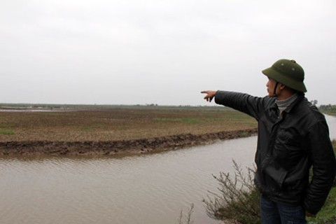 Anh Tân chỉ về cánh đồng rộng 70 ha mà gia đình đã làm nhiều năm trước đó.