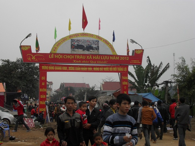 Chọi trâu Hải Lựu 2012 thu hút hơn 5 vạn lượt khách tham dự Chọi trâu Hải Lựu 2012 thu hút hơn 5 vạn lượt khách tham dự