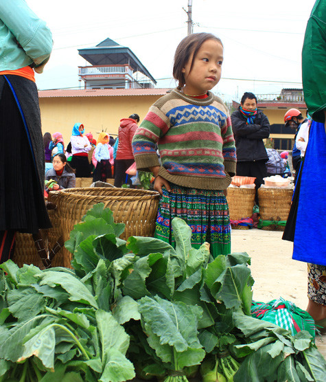 Đầu tuần em sẽ lại cắp sách tới trường Đầu tuần em sẽ lại cắp sách tới trường