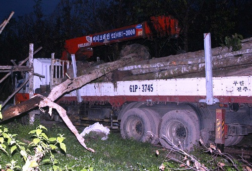 Chiếc xe cẩu gây ra vụ mất điện đang bị tạm giữ Chiếc xe cẩu gây ra vụ mất điện đang bị tạm giữ