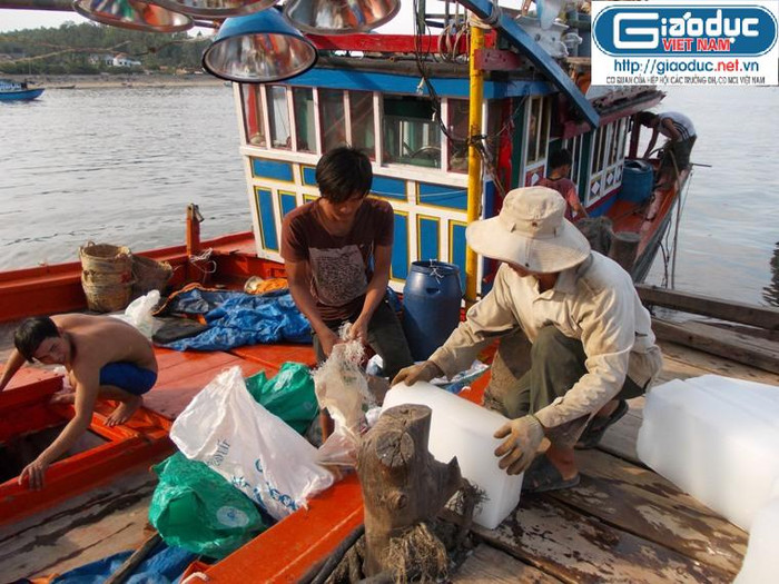 Ngư dân đang cho đá vào khoang tàu chuẩn bị vươn khơi Ngư dân đang cho đá vào khoang tàu chuẩn bị vươn khơi